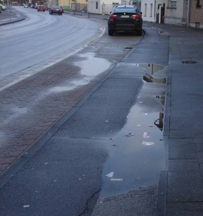niederau5.jpg