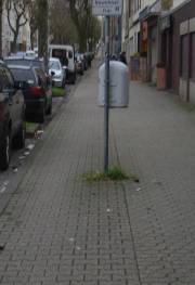 zuelpicher2.jpg